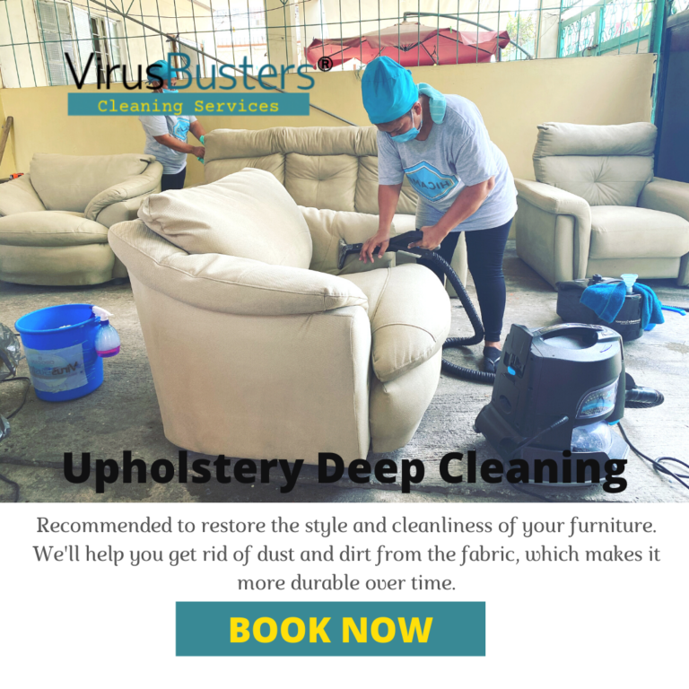 Upholstery Cleaning Services